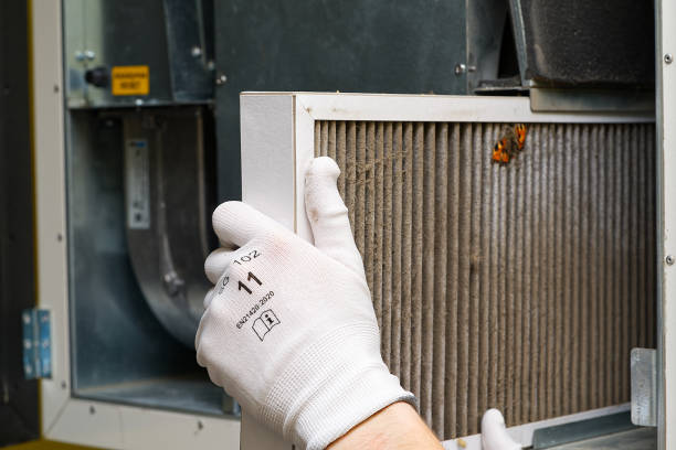 Best Professional Duct Cleaning Services  in Saxapahaw, NC